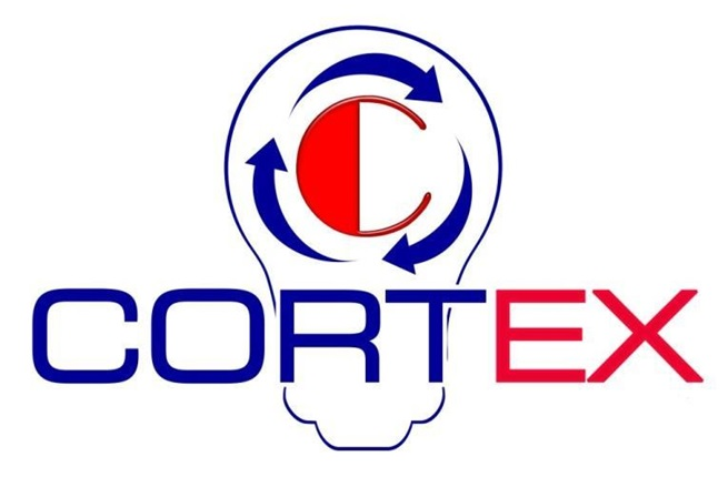 Cortex